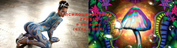 jwh Богородицк