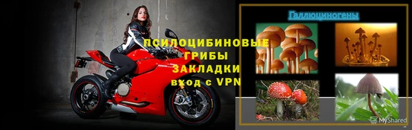 дурь Богданович