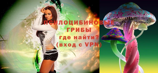 дурь Богданович