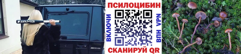 Галлюциногенные грибы MAGIC MUSHROOMS  Берёзовка 